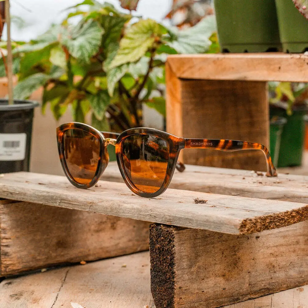Calico - Amber Tortoise Polarized - Image 6