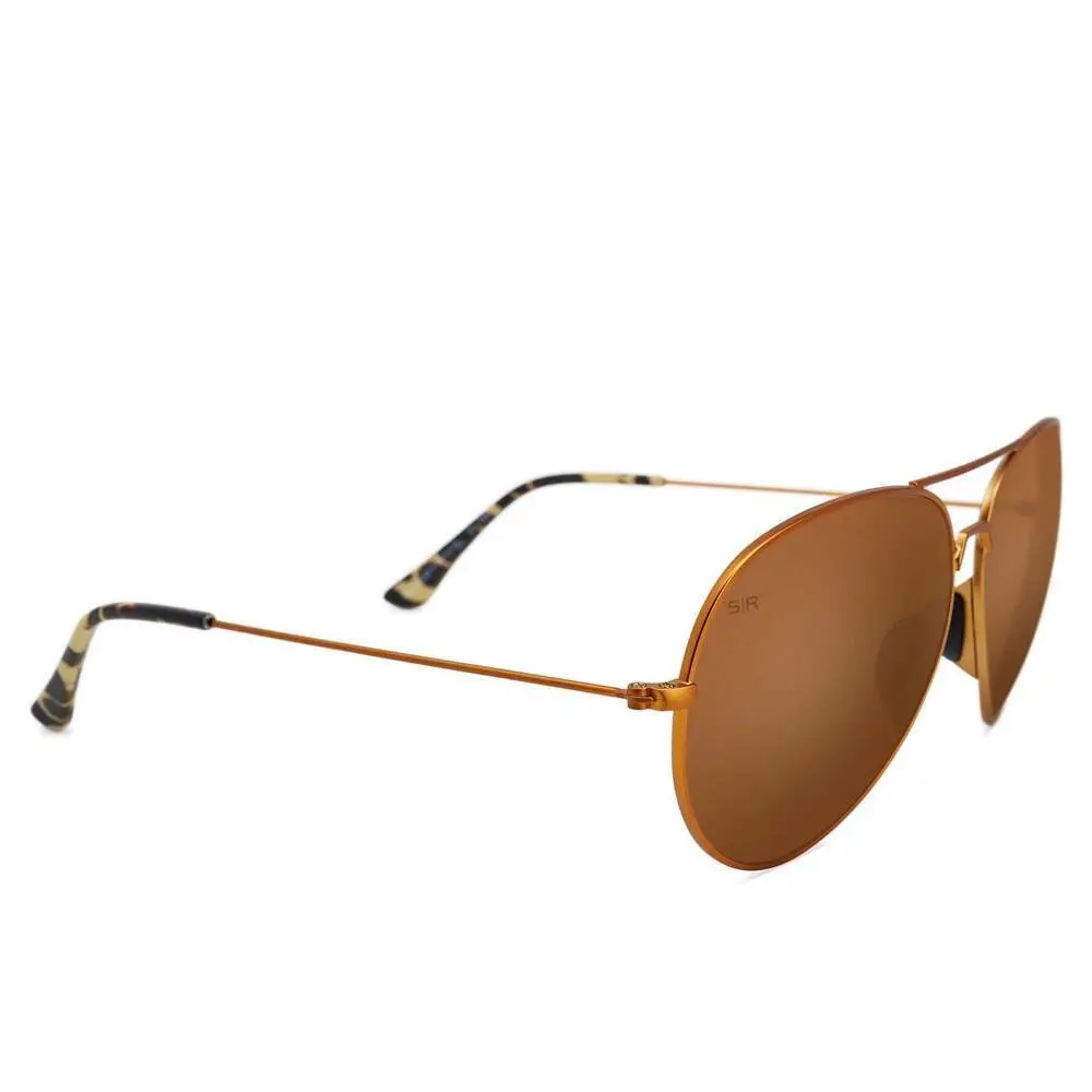 Tangle Free Aviator - Prairie Tortoise Polarized - Image 3