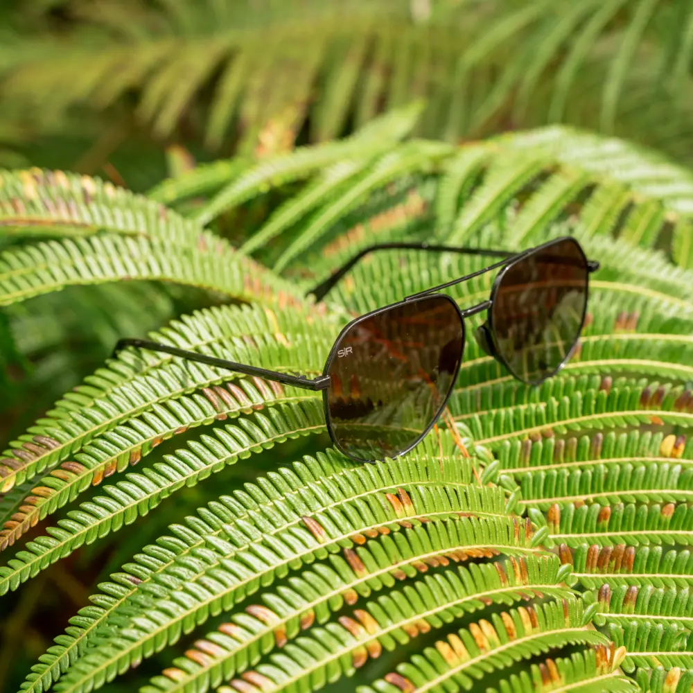 Tangle Free Aviator Hex - Black Fade Polarized - Image 6