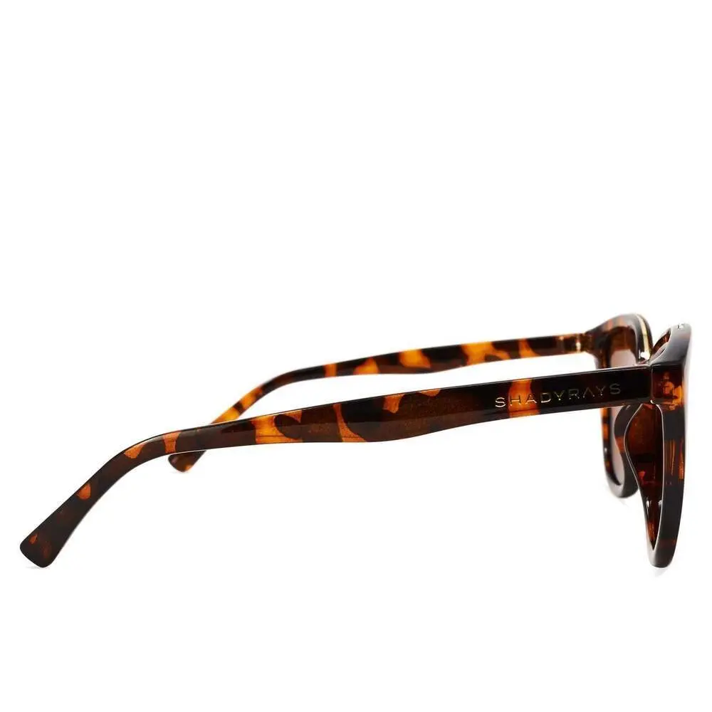 Calico - Amber Tortoise Polarized - Image 4