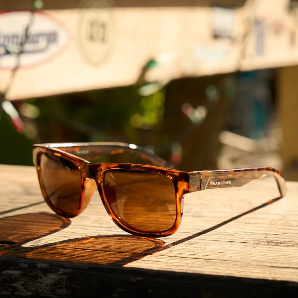 Mojave - Amber Tortoise Polarized - Image 4
