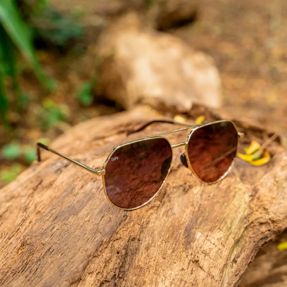 Tangle Free Aviator Hex - Cherry Fade Polarized - Image 6